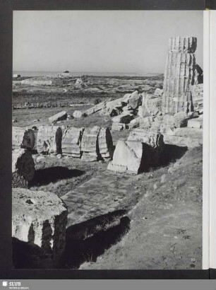 Blick von den Tempeln der Neapolis