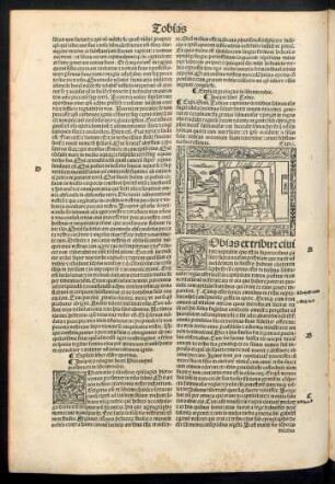 Incipit liber Tobie.