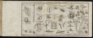 I. Kupfertafel der Naturgeschichte.