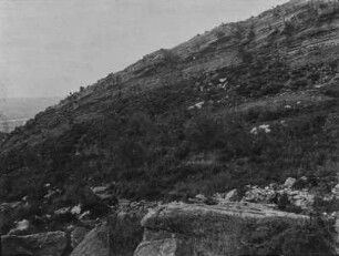Lithothammienkalk : Aufnahme eines Berghanges mit Schichtstufen im Lithothammienkalk