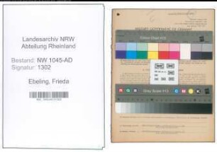 Entnazifizierung Frieda Ebeling , geb. 07.01.1900 (Bueroangestellte)