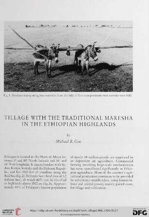 Tillage with the traditional maresha in the Ethiopian highlands