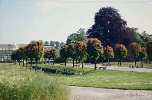 Potsdam, Park Sanssouci, Kastanien an den Stichgräben.