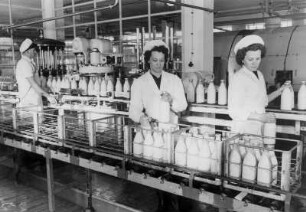 Hamburg. Arbeiterinnen bei "Pro" Alstermilch befüllen Kästen mit Milchflaschen