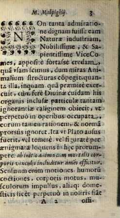 De externo tactus organo anatomica