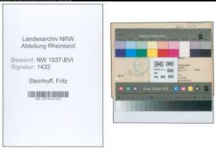 Entnazifizierung Fritz Steinhoff , geb. 14.08.1901 (Ingenieur)