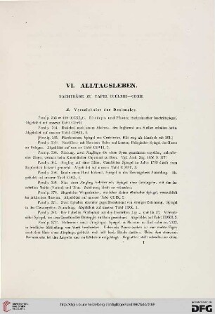VI: Alltagsleben