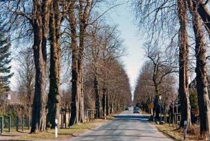 Allee: Ende von Kastanienallee, Nachpflanzungen: hinten Beginn von vierreihiger Lindenallee, Verkehrsschild: 13. März 2003