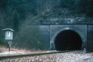 Hochdorfer Tunnel Nordportal Lok 215 055