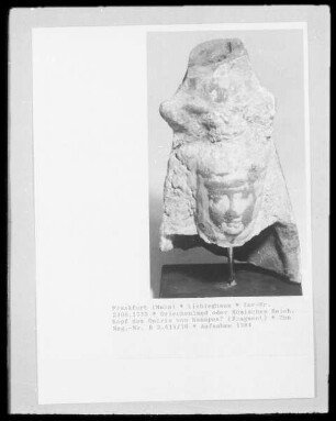 Kopf des Osiris von Kanopos?