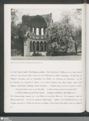 Klosterruine Heisterbach im Siebengebirge