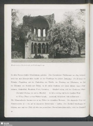 Klosterruine Heisterbach im Siebengebirge