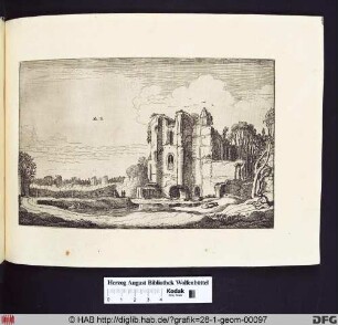 Ruinen des Schlosses Brederode