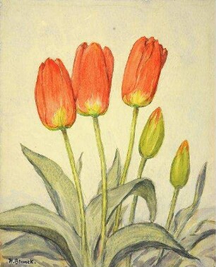 "Tulpen"