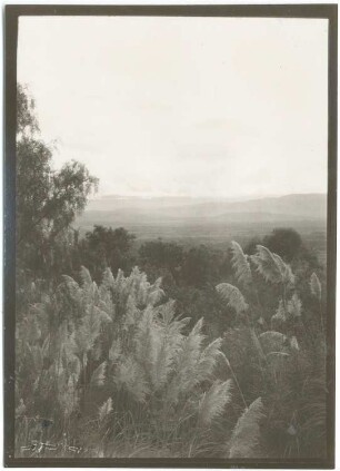 Becken von Cochabamba