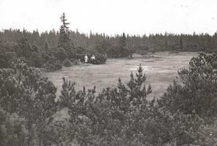 Erzgebirge. Der Große Kranichsee (Velké jeřábí jezero; Hochmoor)