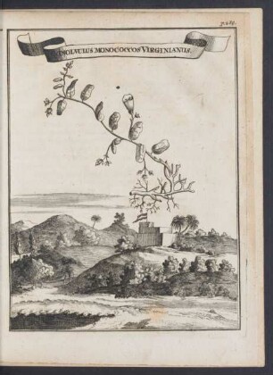 Zu p. 269