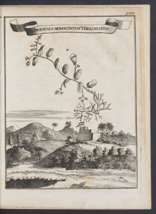 Zu p. 269