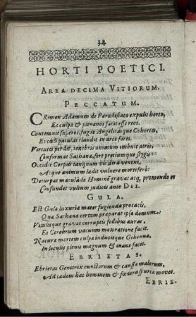 Horti Poetici. Area Decima Vitiorum.