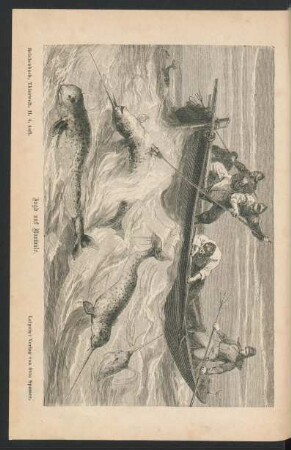 Tafel: Jagd auf Narwale.
