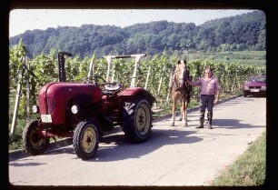Bauer bzw. Winzer am Kaiserstuhl