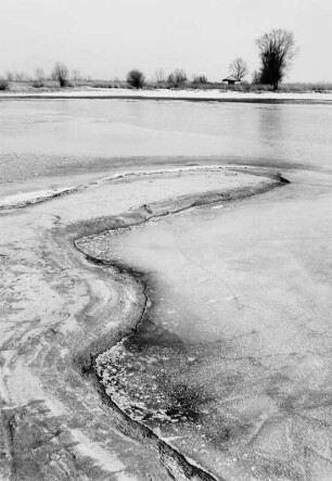 Winterlandschaft mit Fluss bei Fussach