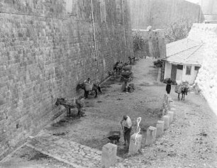 Dubrovnik, Packesel an der Stadtmauer