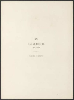 XV. Säugethiere. - (Taf. 117-119.) : Bearbeitet von Prof. Dr. A. Nehring