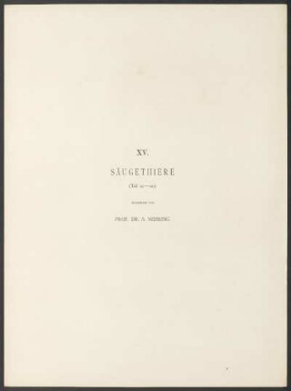 XV. Säugethiere. - (Taf. 117-119.) : Bearbeitet von Prof. Dr. A. Nehring