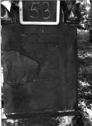 Grabstein 53 (Index: 100101011) Material: Sandstein Zustand: stark abgeblättert mit Textverlust Maße HxBxT: 127x49x9 cm Beschreibung: Stele, Sockel, eingezogener Rundbogenabschluß mit Akroteren: Grabstein 53A