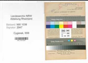 Entnazifizierung Willi Cyganek , geb. 20.03.1906 (Steuerberater)