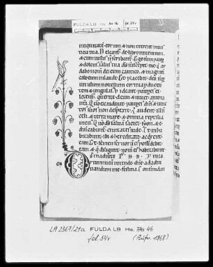 Psalterium cum Canticis — Initiale D (eus) mit Randausläufer als Weinstock mit Vogel, Folio 54verso