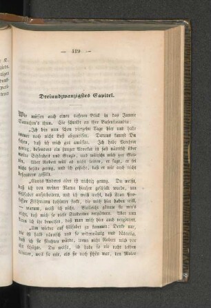 Dreiundzwanzigstes Capitel.