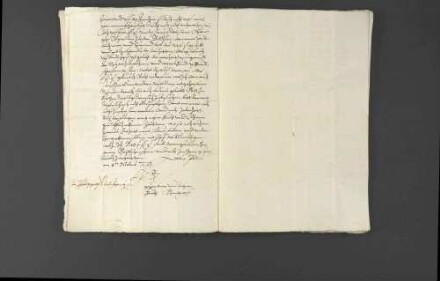 Zeitungsnachrichten über Religionsangelegenheiten in Frankreich, den geplanten Zug des französischen Königs Karl IX. nach Deutschland, Gerüchte über eine Beteiligung des Hauptmanns von Toul an der Ermordung des Heinrich von Ulm sowie die militärischen Werbungen des von Berthi für Louis I. de Bourbon, Fürst von Condé.