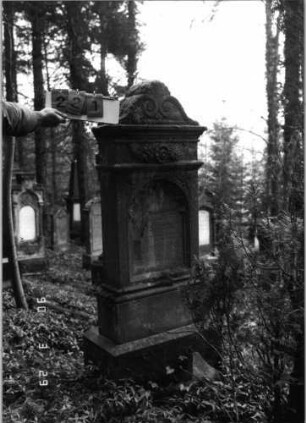 Grabstein 221 (neu: 721)