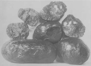Kugelkohlen (R. Potonié) : Geologie | Kohlengeologie | Entstehung der Kohle