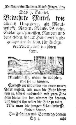 Das 8. Capitel. Von allerhand Ungeziefer.