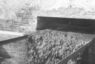 Frischkotanfall Schreiner