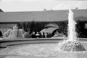 Bad Nauheim: Quellsprudel