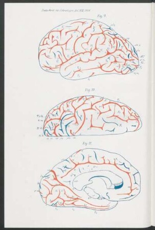 Fig. 9 - Fig. 11