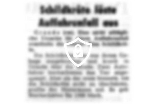Schildkröte löste Auffahrunfall aus