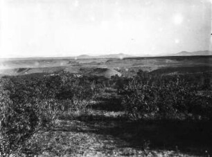 Landschaft bei San Diego (Kalifornien 1925/30)