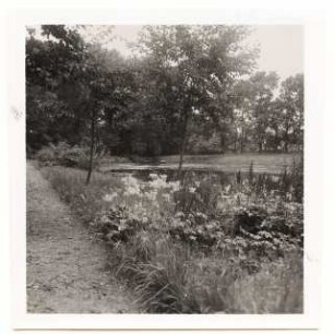 Garten Dr. Schraube, Pritzwalk: Weg am Wasser