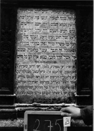 Grabstein 275 [Nir S. 176 Nr. 16.13]: Grabstein 275B [Nir S. 176 Nr. 16.13]