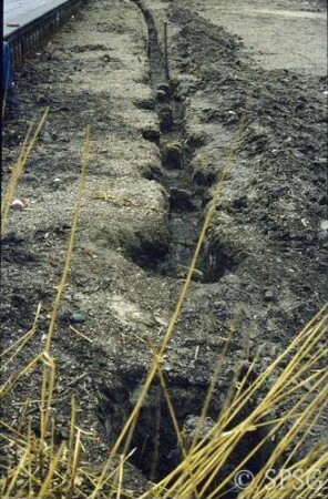 Berlin, Schlossgarten Charlottenburg, Umgebung Karpfenteich, Sanierungsarbeiten am Karpfenteich im Frühjahr 1980, südliche Spundwand von Osten.