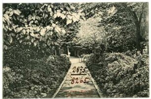 Portland, Oregon. The Flower Walk, City Park
