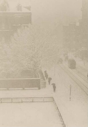 Snapshot - From my Window, New York