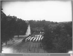 Feldstraße nach Norden