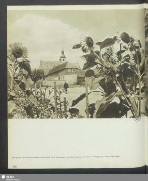 Ein Bauerngarten mit Blick auf die Kirche