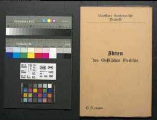 Kaufmann J. Meyer Witwe in Oerlinghausen gegen den Küster Voß in Schötmar, wegen einer Geldforderung